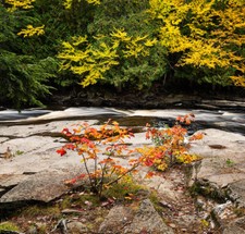 Gorgeous fall keweenaw for sale  Appleton