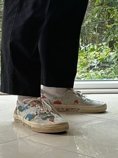 Safe planet vans gebraucht kaufen  Hamburg