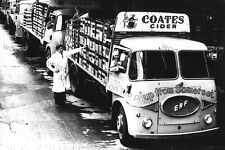 Cv189 coates cider for sale  EAST COWES