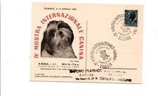 Annullo mostra canina usato Annullo mostra canina usato  Roma