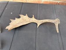 Naturally shed fallow for sale  ALCESTER