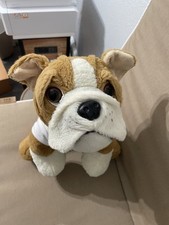 Retired english bulldog for sale  Upland