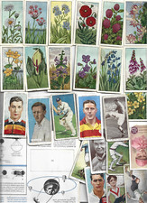 Typhoo tea cards for sale  CHESSINGTON