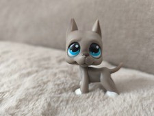 Authentic littlest pet d'occasion  Laon