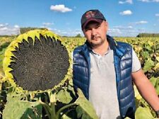 Sunflower seed xxl for sale  OLDHAM