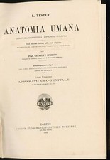 Anatomia umana vol usato  Gavirate