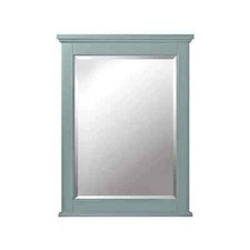 20 24 mirror inches x for sale  Nixa