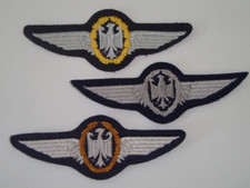 Tätigkeitsabzeichen wings luf gebraucht kaufen  Pasewalk