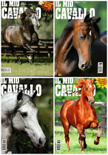 Lotto riviste magazine usato  Calco