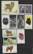 Lote de 10 cartões vintage diferentes de tabaco/cigarro/chá para cachorros CHOW CHOW comprar usado  Enviando para Brazil