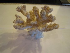 Artificial sea white for sale  Chandler