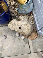 Large stone ideal for sale  NEWCASTLE UPON TYNE