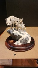 Arctic wolves for sale  Loves Park