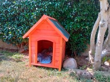 Cuccia per cani usato  Zimella