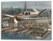 Beechcraft bonanza model for sale  Wellington