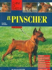 Pinscher animali filippo usato  Italia