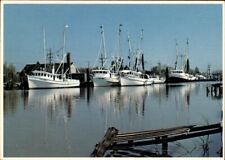 Louisiana bayou shrimp for sale  Eau Claire