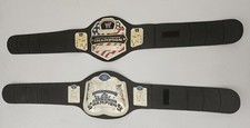 Wwe championship belt usato  Vimercate
