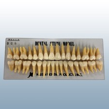 Kilgore 305 anatomical for sale  Royal Oak