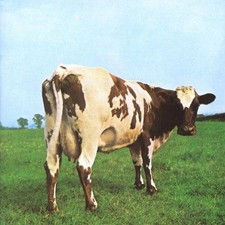 Atom heart mother for sale  ROSSENDALE