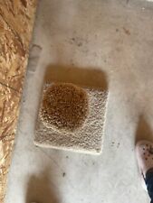 Cactus cat scratcher for sale  Hilliard
