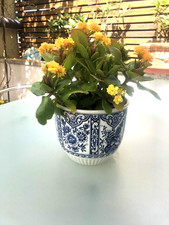übertopf blumen boch gebraucht kaufen  Hanau