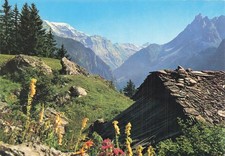 Pralognan vanoise refuge d'occasion  France