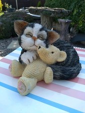 Cat kitten teddy for sale  PETERBOROUGH