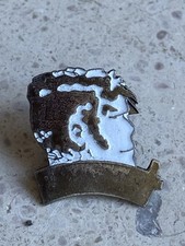 Pin corto maltese d'occasion  Langeais