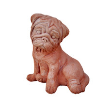Cane bull dog usato  Civitanova Marche