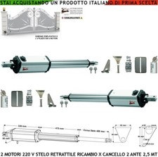 Pistoni cancello elettrico usato  Roma