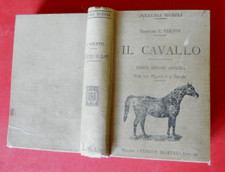 cavallo manuale hoepli usato  San Giuliano di Puglia