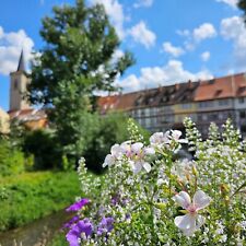 Erfurt kurzreise tage gebraucht kaufen  Berlin