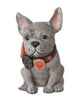 French bulldog frenchy for sale  Platteville