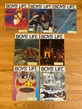 Lot boys life for sale  Minneapolis