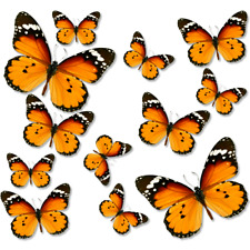 18x butterfly sticker for sale  LEICESTER