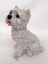 Adorable west highland for sale  RUGBY