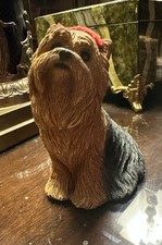 Sandicast yorkshire terrier for sale  Mckinney