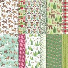 Stampin designerpapier rentier gebraucht kaufen  Nesse-Apfelstädt, Nottleben