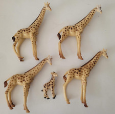 Giraffe wildlife animal for sale  Miami