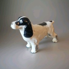English springer spaniel for sale  Ormond Beach