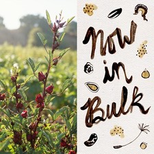 Hibiscus sabdariffa seeds for sale  Ojai
