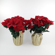 Set velvet poinsettia for sale  Dothan