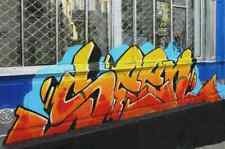 Photo graffiti murals for sale  UK