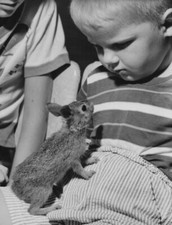 1950s boy baby for sale  Mission