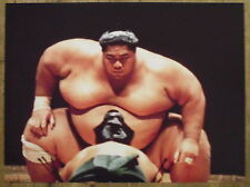 Photo combat sumo d'occasion  Beaumont-de-Lomagne