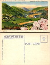 Postcard mountain laurel for sale  USA