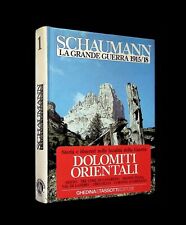 Schaumann grande guerra usato  Sanremo