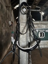 Black pony dressage for sale  ABERDEEN