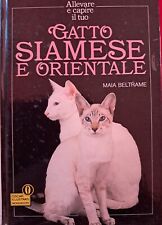 721.. gatto siamese usato  Santo Stefano di Camastra